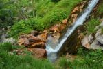 2014-07-05_Laengental-N-Hochweg (533). JPG